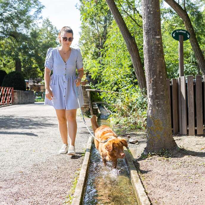 La SPA de Mulhouse s'invite au musée !