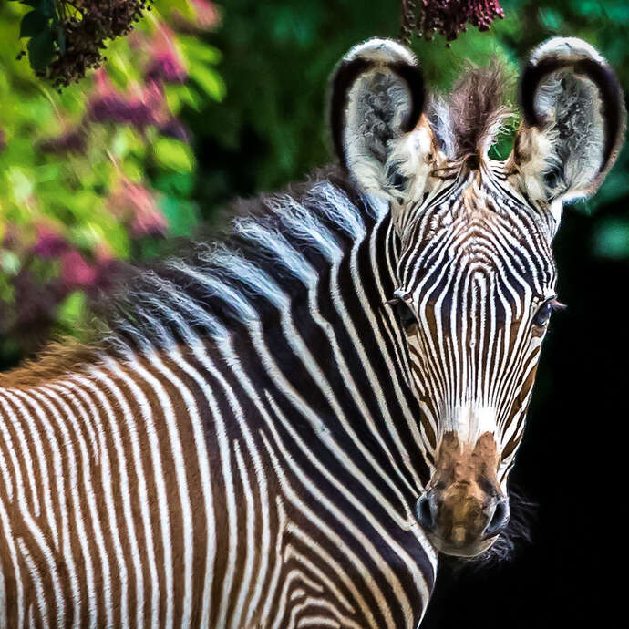 Journée découverte au zoo de Mulhouse
