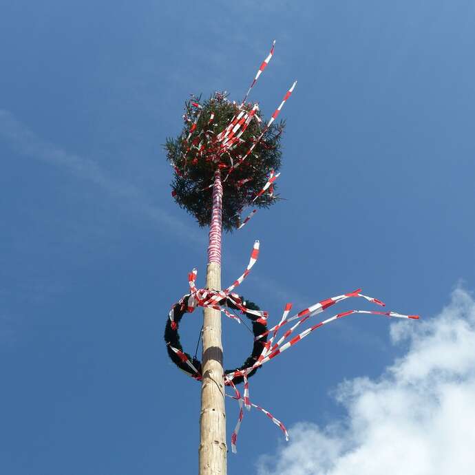 Maibaum à Riedisheim Le 1 mai 2024