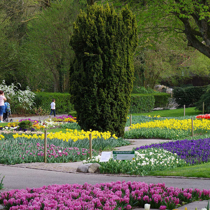 Groaarrr! Comic festival im Zoo