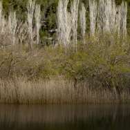 Vollständig: Entdeckung des Rothmoos-Naturreservats