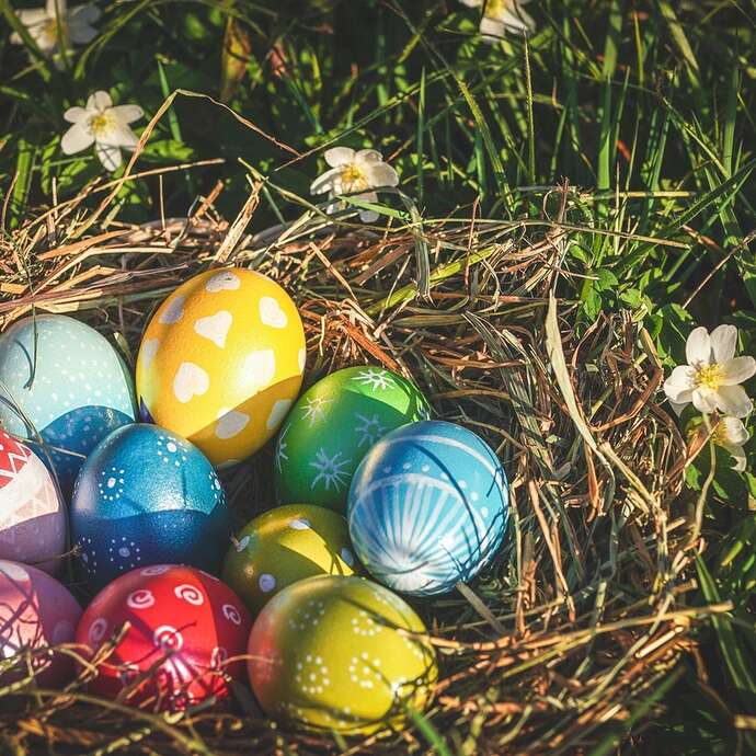Chasse aux oeufs : jusqu'au nid !