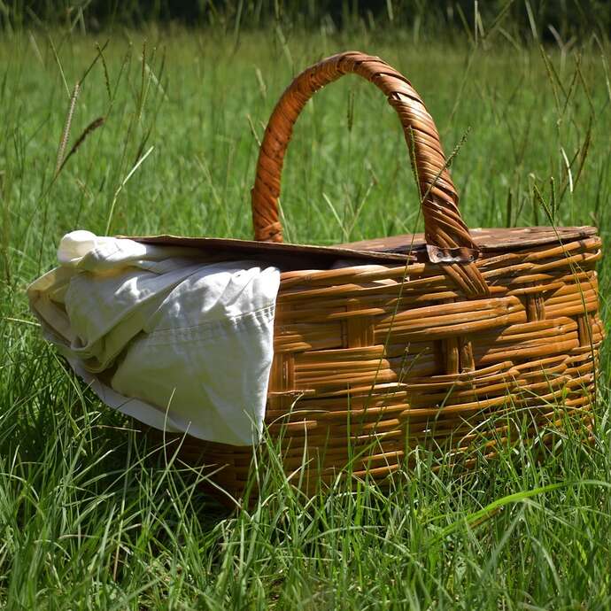 Picknick am Ufer der Ill