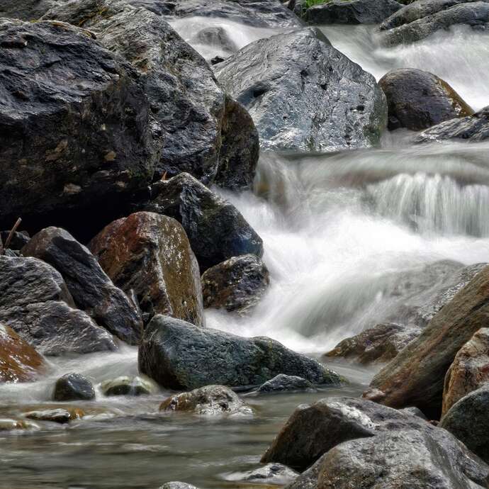 Thematischer Spaziergang rund um die Ausstellung Déborder la rivière (Den Fluss überbrücken)