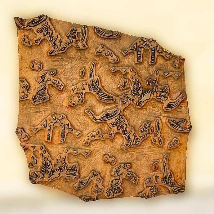 Atelier : métamorphose