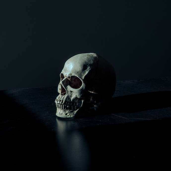 Lecture: From Henri IV's hair to historical forensic medicine - how to make the dead speak?