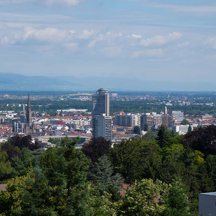 Balade guidée : Mulhouse vue d'en haut