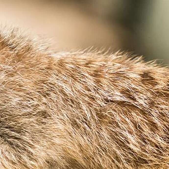 Guided tour: Why live together?