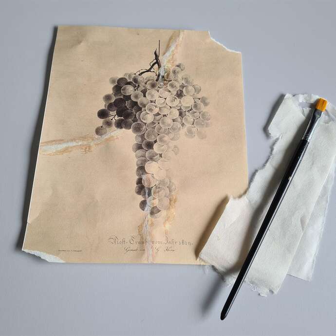 Dans l'atelier d'Engelmann - Introduction to the restoration of graphic arts