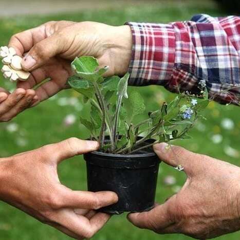Troc' Jardin