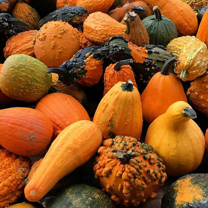 Fête d'Automne