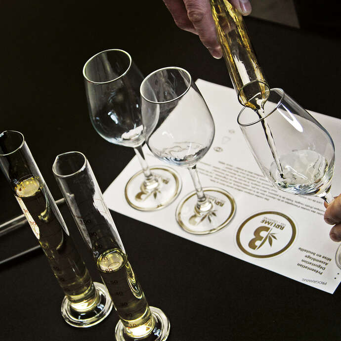 Atelier : Dégustez du vin au chanvre et du fromage dans un chai