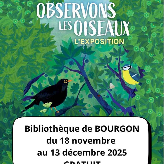 Exposition : Observons les oiseaux