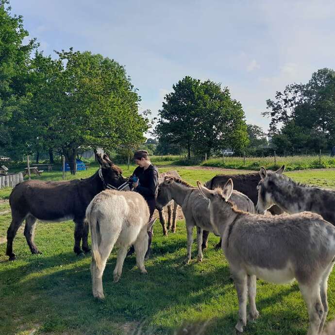 De la traite au savons à l'Asinerie du Bois Gamats