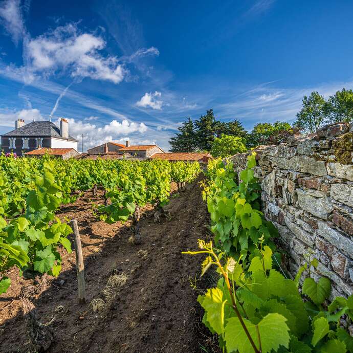 Domaine Jérémie Huchet