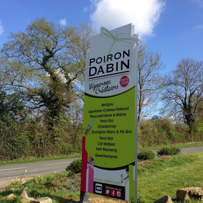 Rando des cépages au Domaine Poiron Dabin