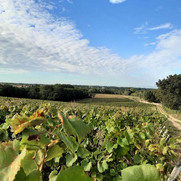 BOUCLE CIRCUIT MOULINS ET CHATEAUX
