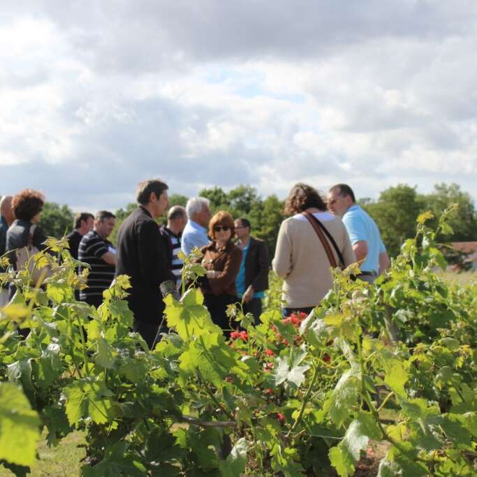 Domaine Florence et Joël Forgeau