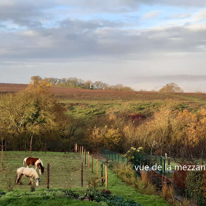 Les Chambres de la Divatte