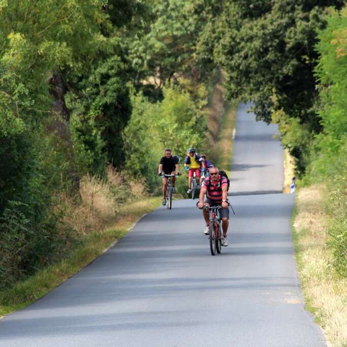 Boucle circuit Vignoble à Vélo entre Logne et Sanguèze