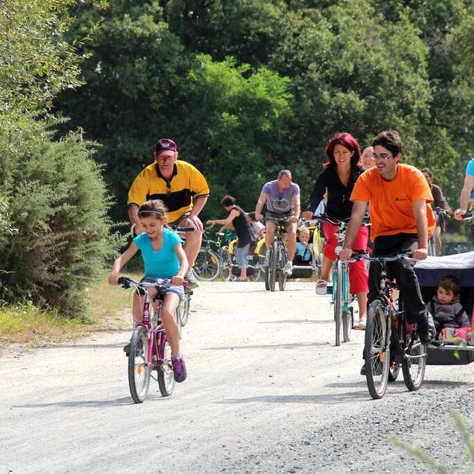 Boucle circuit Vignoble à Vélo entre Sèvre et marais