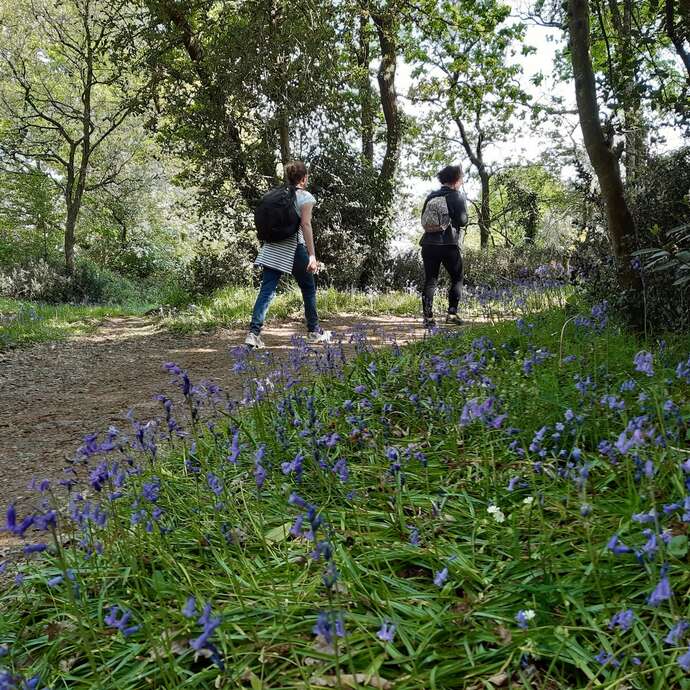 BOUCLE CIRCUIT LES COTEAUX LUMINAIS