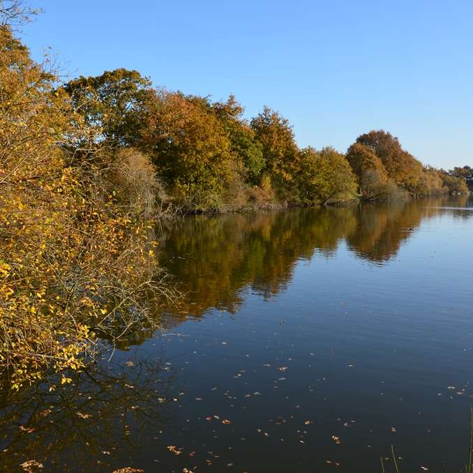 LES ÉTANGS DU BOIS JOALLAND ET DE GUINDREFF