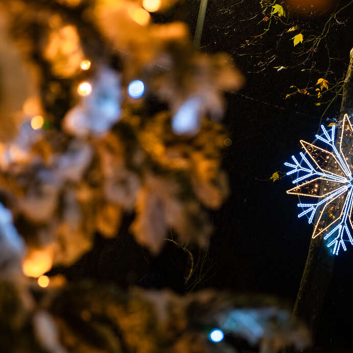 La Dacterie, quartier de Lumières