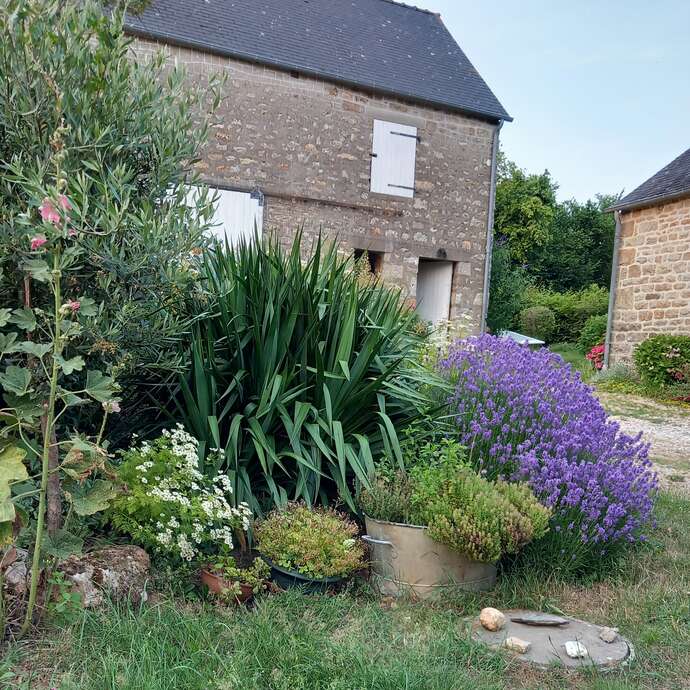 Chambre d'hôtes "Au soleil levant" à La Pallu