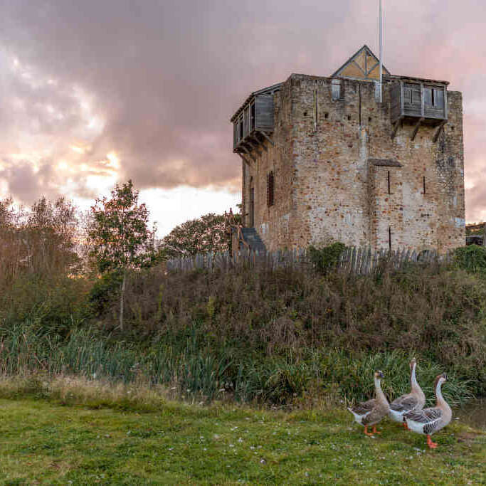 DOMAINE DE LA FERTÉ CLAIRBOIS