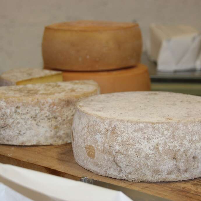 Ferme fromagère du Pays de Pail