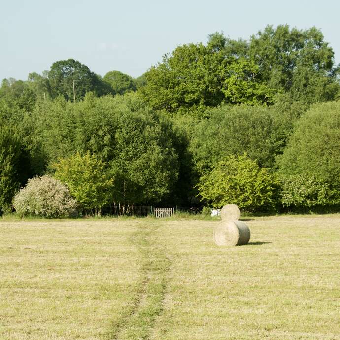 Gîte My French Location - La Mésange