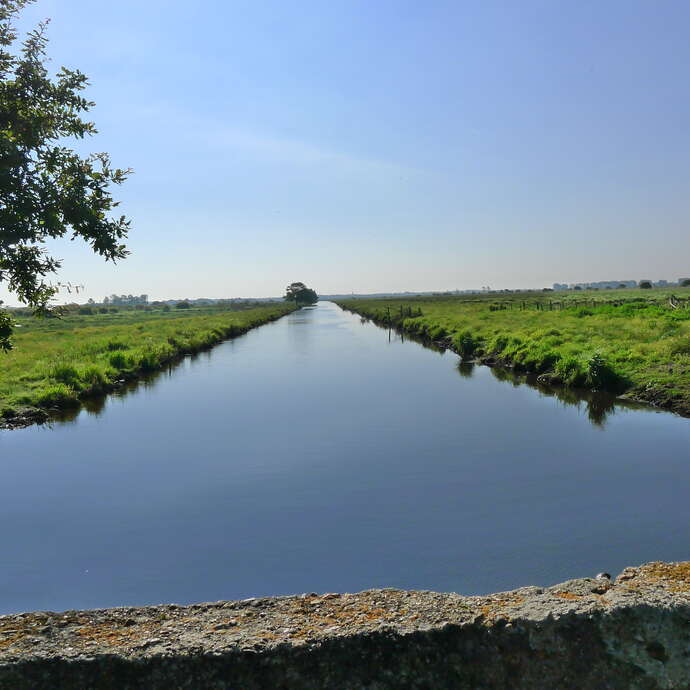 GR®3 LA LOIRE SAUVAGE A PIED - DE BESNE A LA BAULE