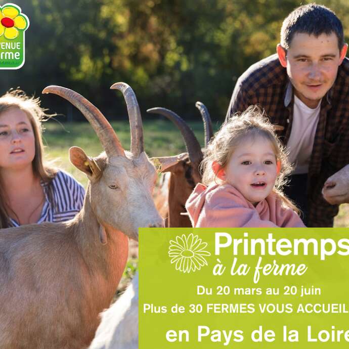 PRINTEMPS A LA FERME - VILLETTE EN DIRECT