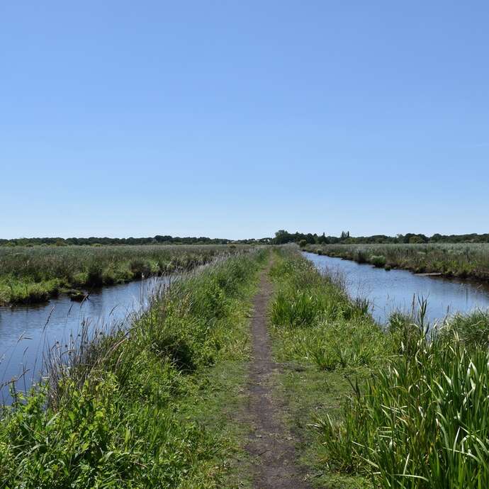 LE HÉRON (La Posture du Héron)