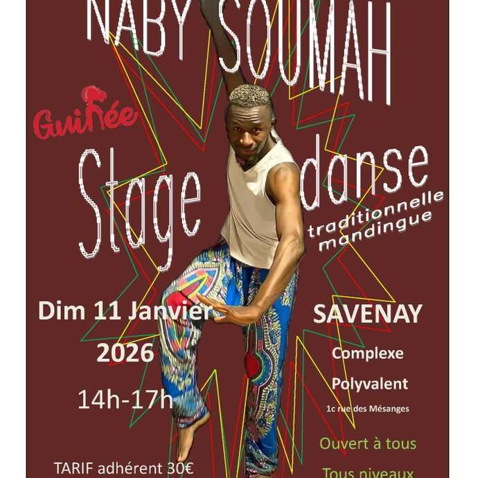 Stage danse traditionnelle mandingue