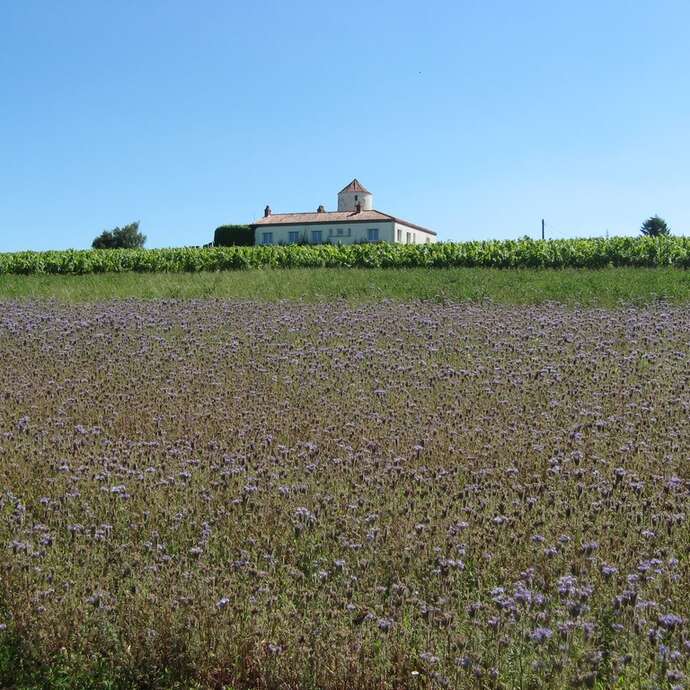 BOUCLE CIRCUIT DES COTEAUX