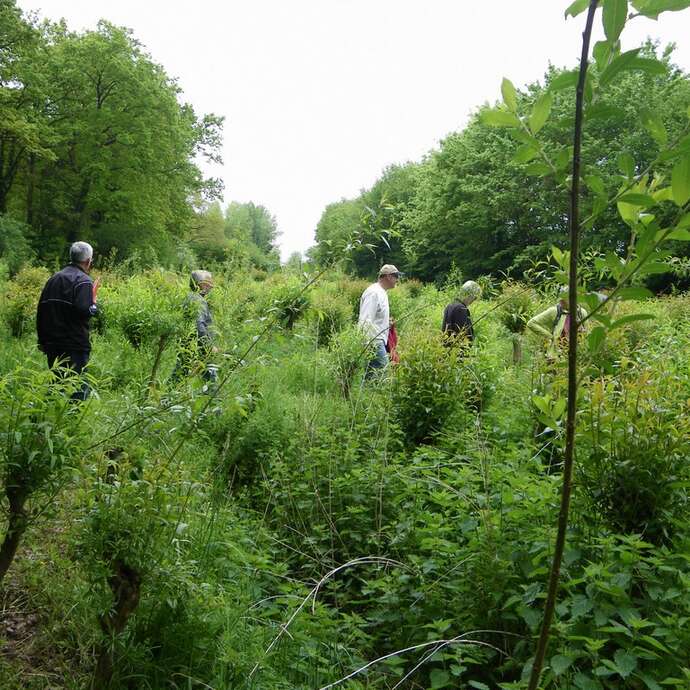 BOUCLE CIRCUIT DU MOULIN DE LA ROBINIÈRE