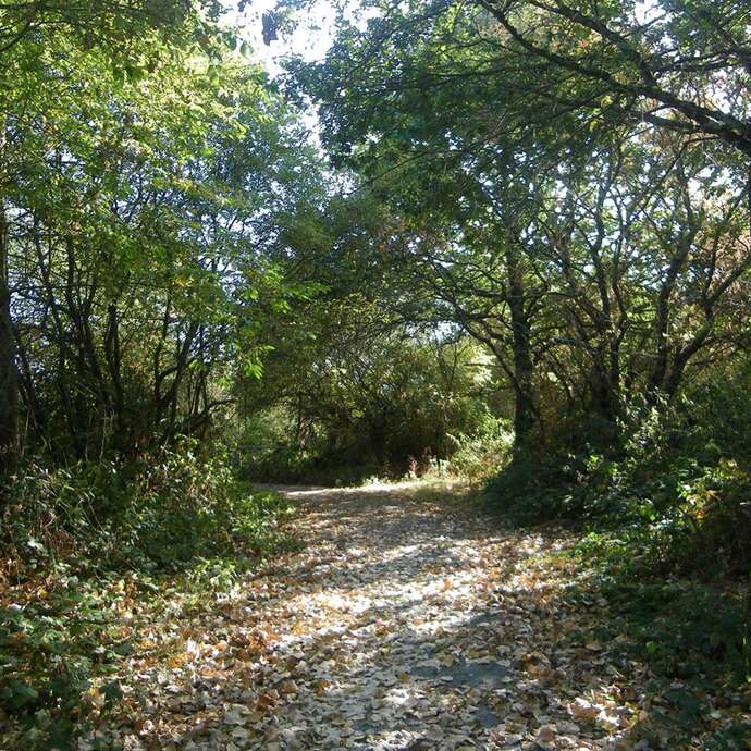 BOUCLE CIRCUIT ENTRE TERRES ET VIGNES