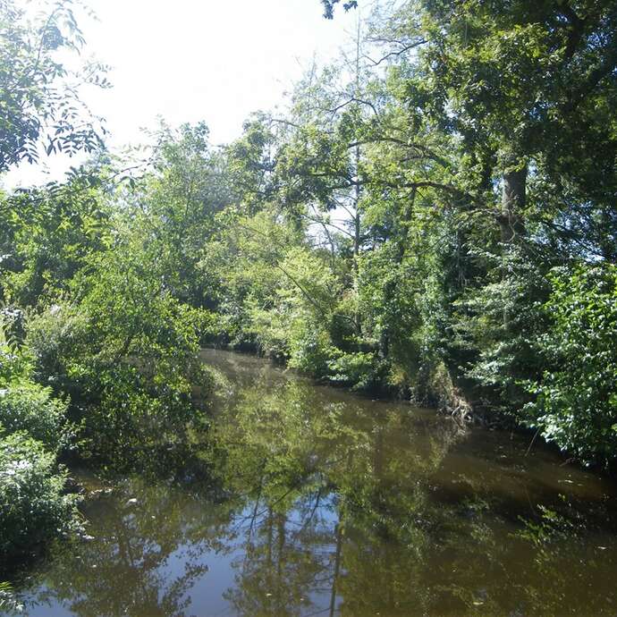 BOUCLE CIRCUIT DES VIGNES