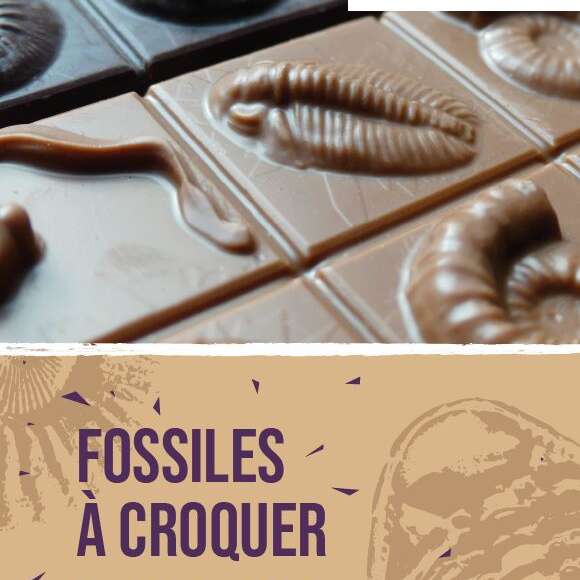 // ANNULÉ // UN ATELIER CHOCOLATÉ GÉOPARC « FOSSILES À CROQUER » // ANNULÉ // UN ATELIER CHOCOLATÉ GÉOPARC « FOSSILES À CROQUER »