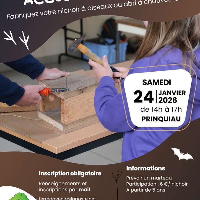 Fabrication de nichoirs à oiseaux