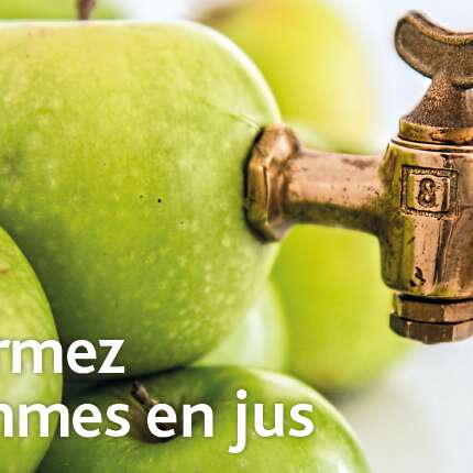 JOURNÉE PRESSAGE DE JUS DE POMME ET ANIMATIONS CITROUILLES