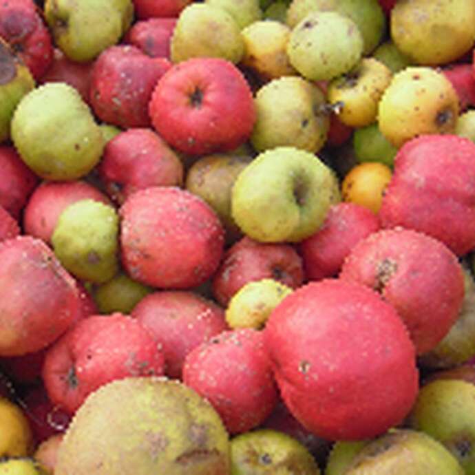 PRODUITS CIDRICOLES - VERGER DE LA BOUTRUCHÈRE