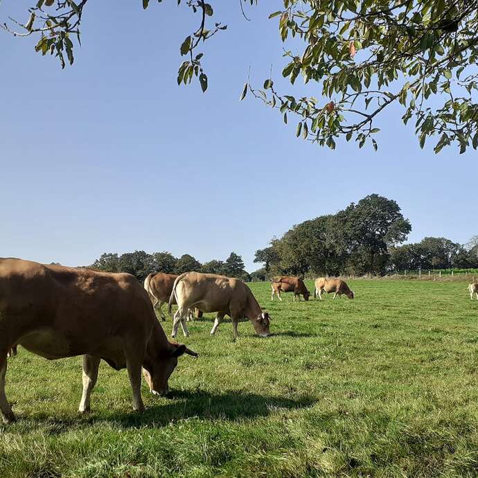 Ferme de la Seurrie