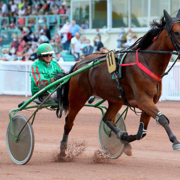 COURSES HIPPIQUES A MESLAY-DU-MAINE
