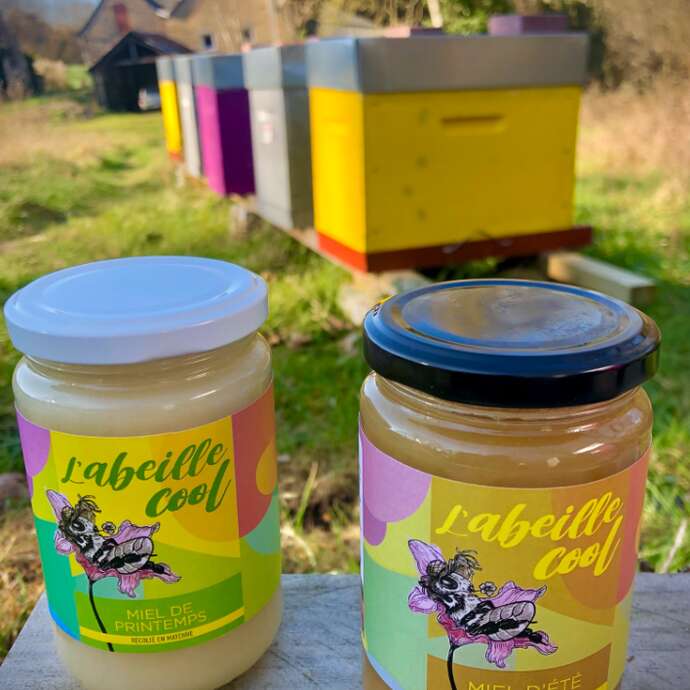 L'ABEILLE COOL
