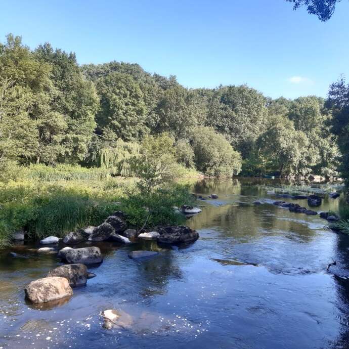 PARCOURS FAMILLE MURMURES DE ROCHERS « ARBRE À PALABRES »