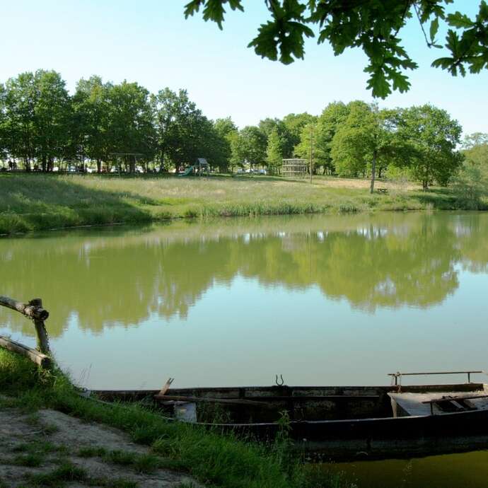 L'étang des Tuileries à Monnières