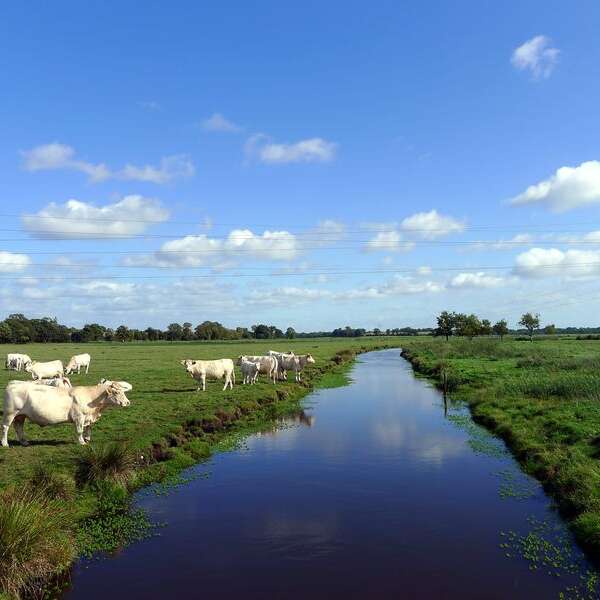 REVIN (D'Er à Revin)